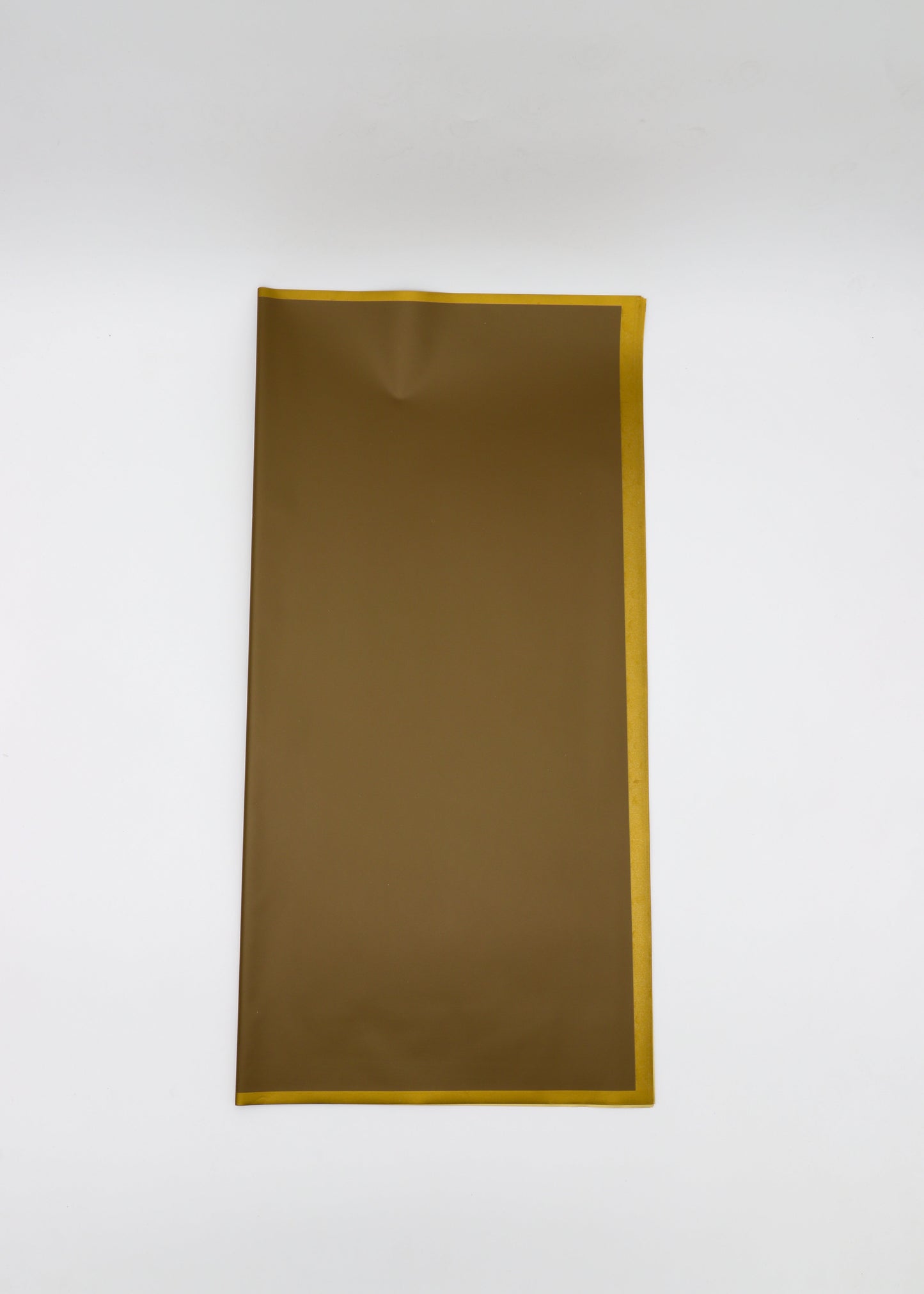 Solid and Border Floral Paper